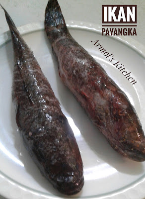 Ikan Payangka