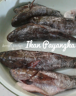 Ikan Payangka